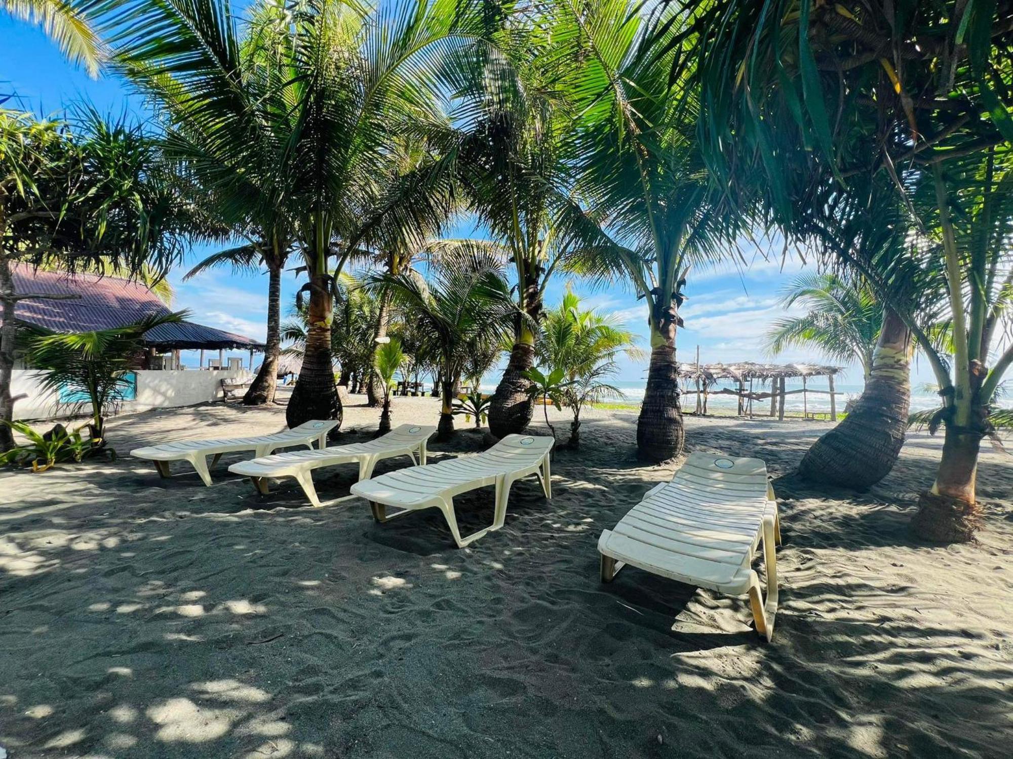 North Shore Beach Resort Baler Dış mekan fotoğraf